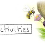 Activities