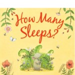 How Many Sleeps 2011